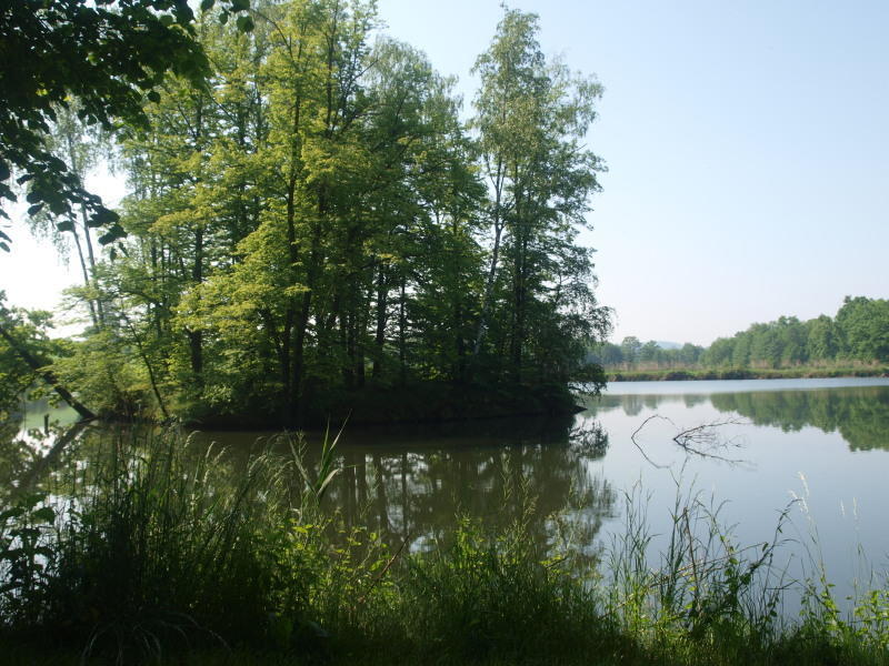 Dwór Dębowiec I Exterior foto